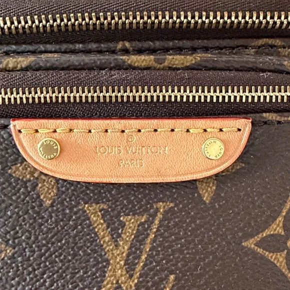 Louis Vuitton Mini Bum Bag - Picture 2 of 16